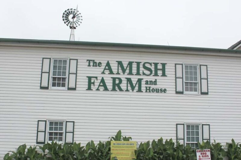 Amish Farm and House 1-Day Tour From Washington D.C. - Exploring the Amish Farm and House 1-Day Tour from Washington D.C.: A Practical and Honest Look