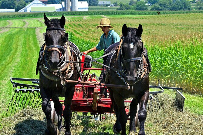 Amish Farmlands Tour - Key Points