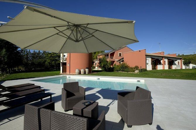 Among ancient sunny vineyards, visit and taste the wines from the San Lorenzo cellar - Setting the Scene: What to Expect During the Tour