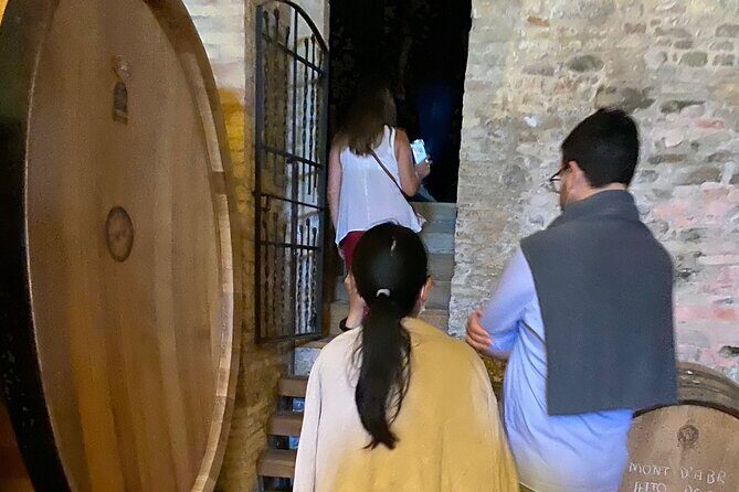 Among ancient sunny vineyards, visit and taste the wines from the San Lorenzo cellar - A Word on the Downsides