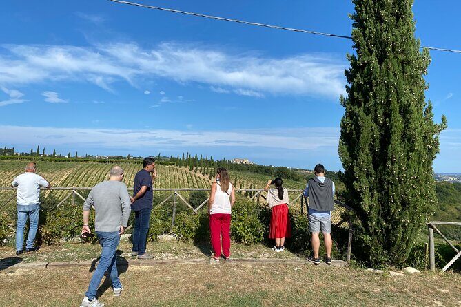 Among ancient sunny vineyards, visit and taste the wines from the San Lorenzo cellar - Frequently Asked Questions