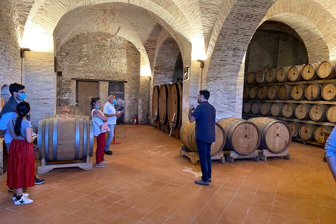 Among ancient sunny vineyards, visit and taste the wines from the San Lorenzo cellar - Final Thoughts