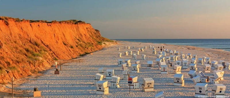 Amrum: Daytrip by boat to Sylt - Who Is This Tour Best For?