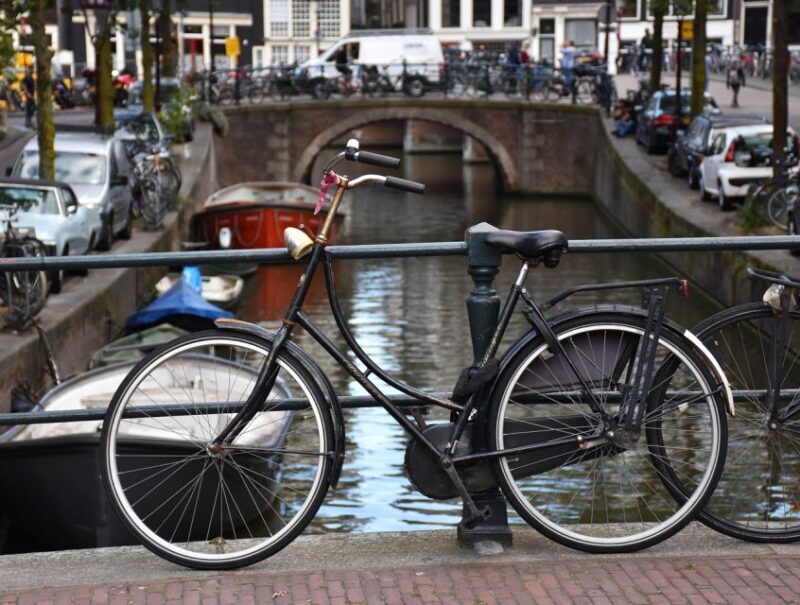 Amsterdam: 3-hour Countryside Bike Tour - The Experience - What You Can Expect