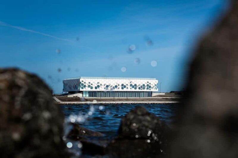 Amsterdam: Afsluitdijk & Wadden Center Museum Private Tour - A detailed look at the experience