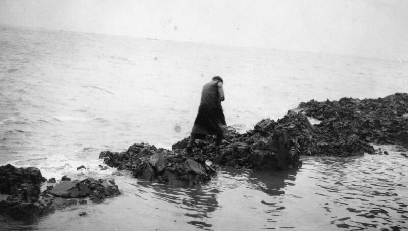 Amsterdam: Afsluitdijk & Wadden Center Museum Private Tour - FAQs