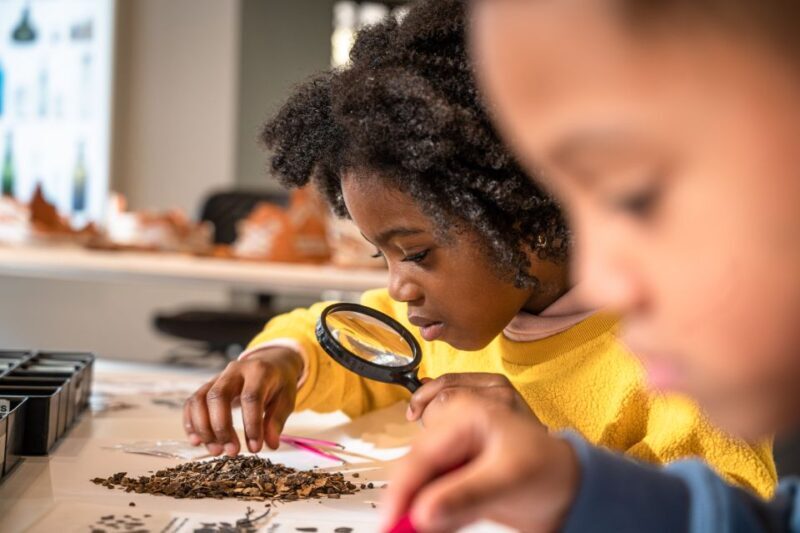 Amsterdam: Allard Pierson Heritage Collections Entry Ticket - Practical Tips for Visiting