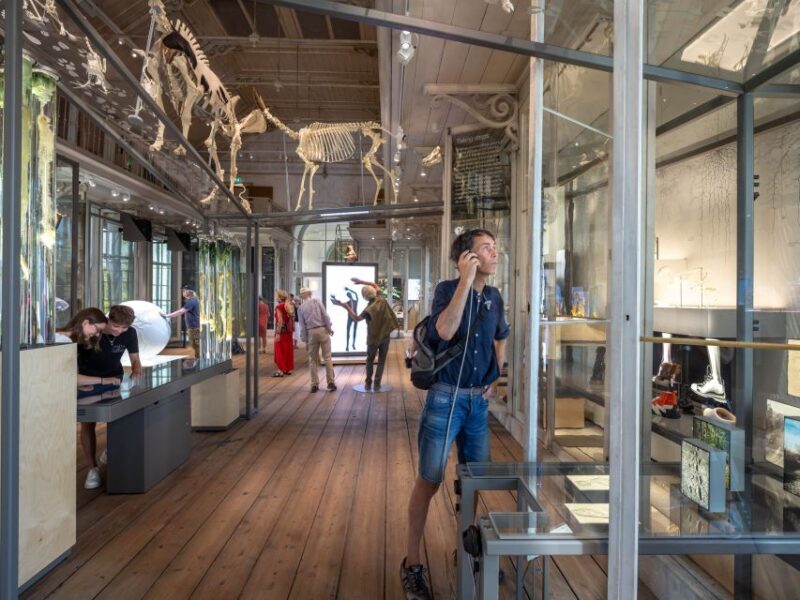 Amsterdam: ARTIS-Groote Museum Entry Ticket - The Value of Your Ticket and Overall Experience
