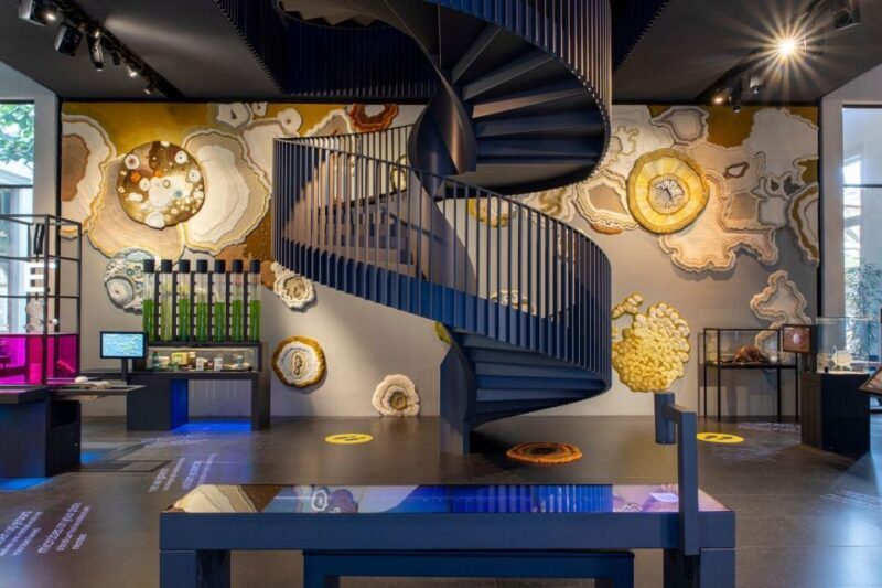 Amsterdam: ARTIS-Micropia Microbe Museum Entry Ticket - Key Points