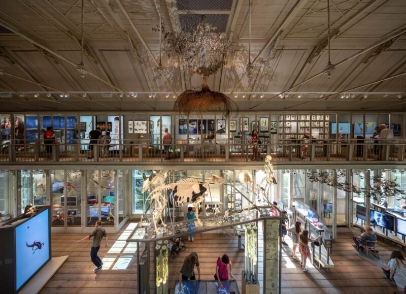 Amsterdam: ARTIS Royal Zoo and ARTIS Groote Museum Ticket - FAQs