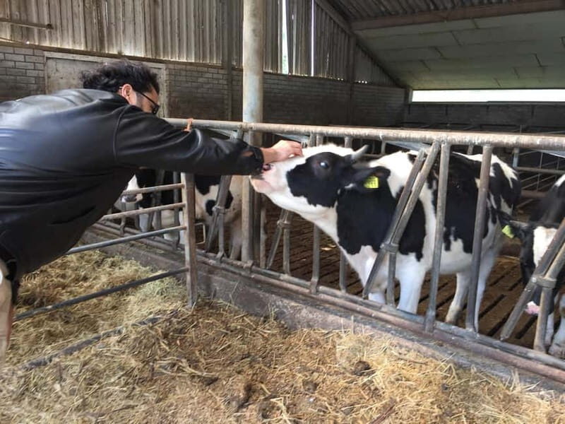 Amsterdam:: Bike Rental with Free Self-Guided Tour App - The Experience on Two Wheels