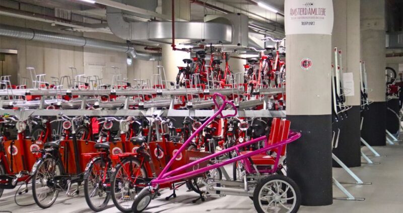 Amsterdam: Bike Tour (Noord) in German or English - Review Snippets That Highlight the Experience