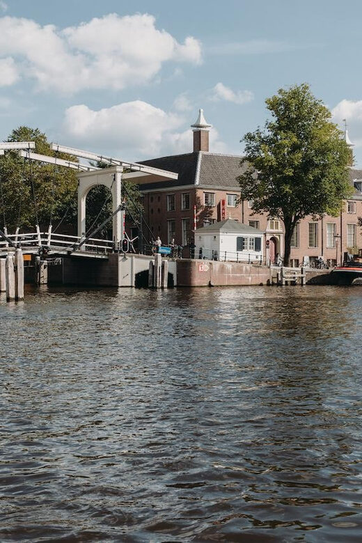 Amsterdam: Brancusi at H'ART Museum Entry Ticket - The Experience: What to Expect and Why It Matters