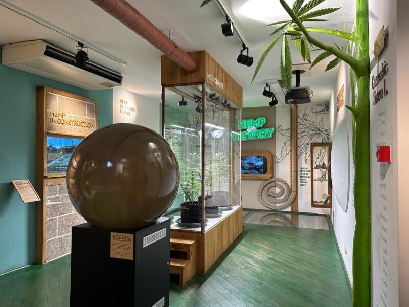 Amsterdam: Cannabis Museum Entry Ticket - What to Expect at the Cannabis Museum in Amsterdam