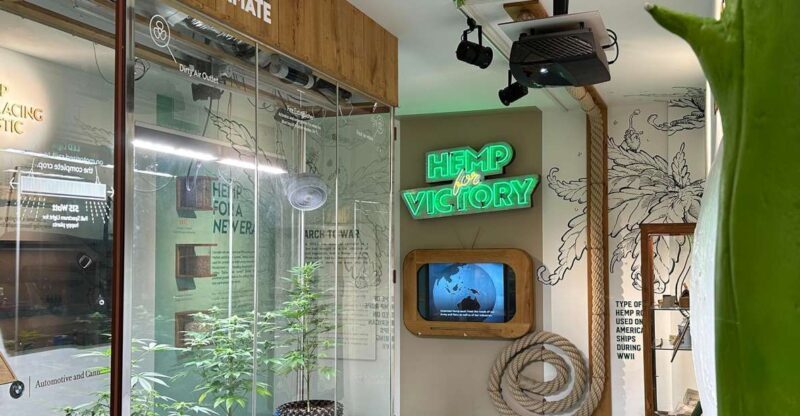 Amsterdam: Cannabis Museum Entry Ticket - Is It Worth the Price?