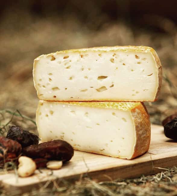 Amsterdam: Cheese Tasting, Windmill & Countryside Bike Tour - The Experience from Reviews