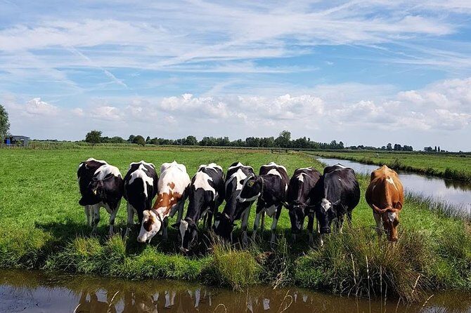 Amsterdam City & Countryside Tour: The Best of both Worlds - Is the Price Worth It?