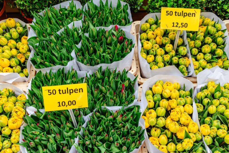 Amsterdam: Dam Square & Flower Market Walking Tour - The Tour in Detail: What You Can Expect