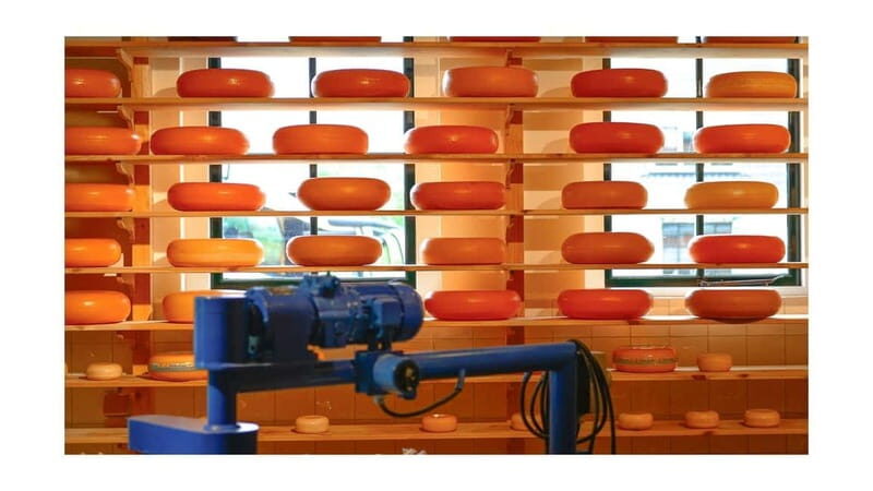 Amsterdam Day Tour: Zaanse Schans, Volendam & Marken - Practical Tips for Your Day