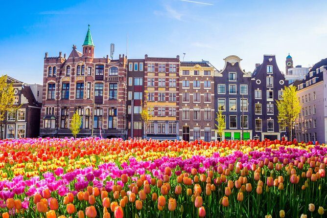 Amsterdam Day Trip from Brussels - Is This Tour Worth It?
