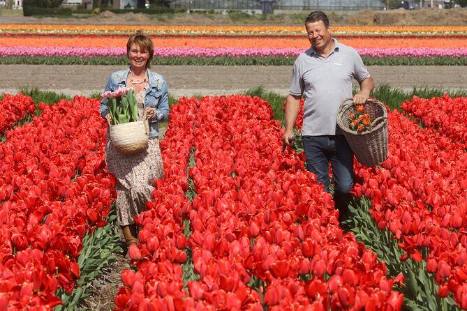 Amsterdam: Day trip to Tulip Farm, Keukenhof + Windmill Cruise - Who Is This Tour Best For?