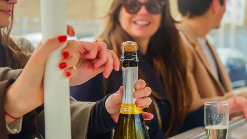 Amsterdam: Dutch Prosecco Party Bike - What Is the Dutch Prosecco Party Bike?