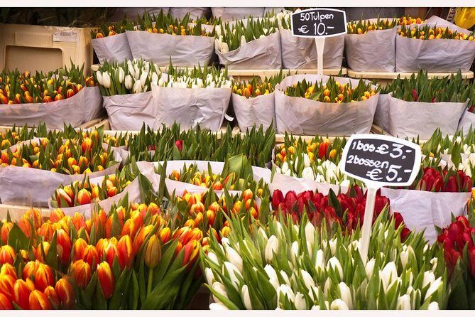 Amsterdam: E-Bike Sightseeing Tour - Who Will Love This Tour?