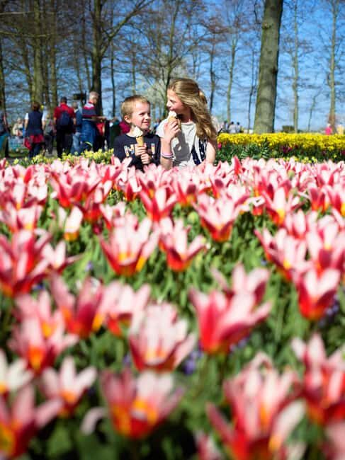Amsterdam: Flower Parade Grandstand + Keukenhof Gardens Tour - The Sum Up