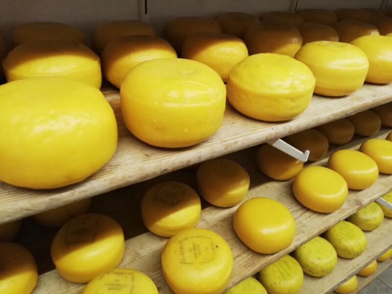 Amsterdam: Full-Day Countryside Tour - The Itinerary in Detail