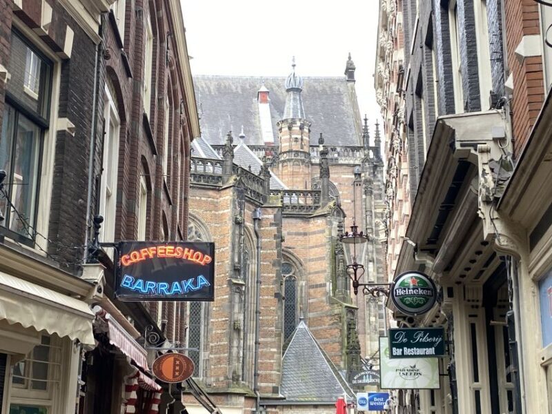 Amsterdam: Guided Off-The-Beaten-Track Walking Tour - Who Will Love This Tour?
