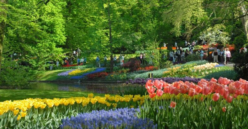Amsterdam: Half-Day Keukenhof Guided Tour with Entrance - What To Expect from the Keukenhof Half-Day Tour