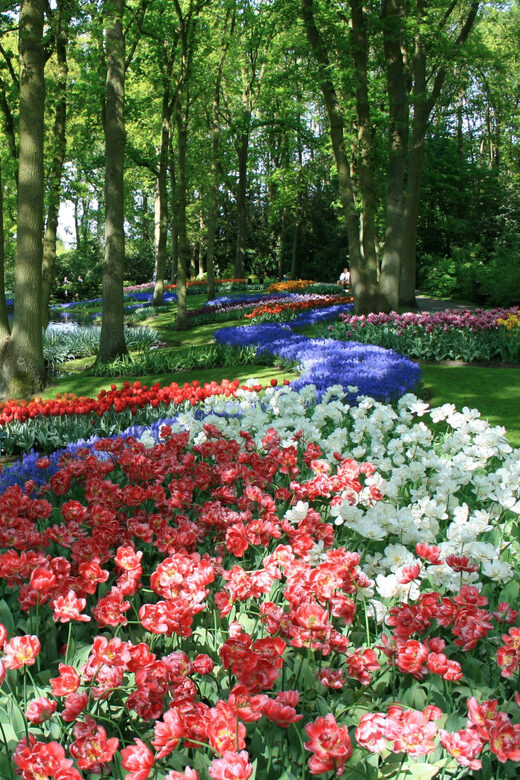 Amsterdam: Half-Day Keukenhof Guided Tour with Entrance - Highlights of Keukenhof Gardens