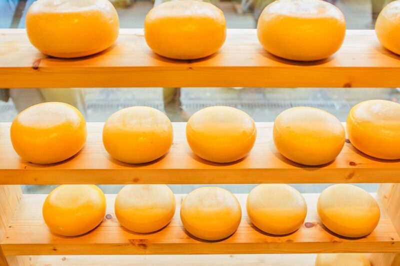 Amsterdam: Henri Willig Cheese Tasting Experience - The Reviews Speak for Themselves