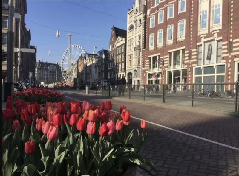 Amsterdam: History, Culture & Hidden Gems Walking Tour - The Authentic Feel
