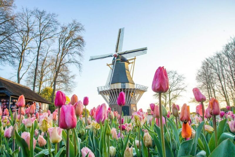 Amsterdam: Keukenhof and Zaanse Schans Live Guided Day Tour - Key Points