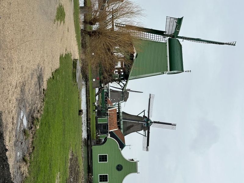 Amsterdam: Day Tour Keukenhof and Zaanse Schans Windmills - Cheese time at Zaanse Schans: tasting that feels like a show