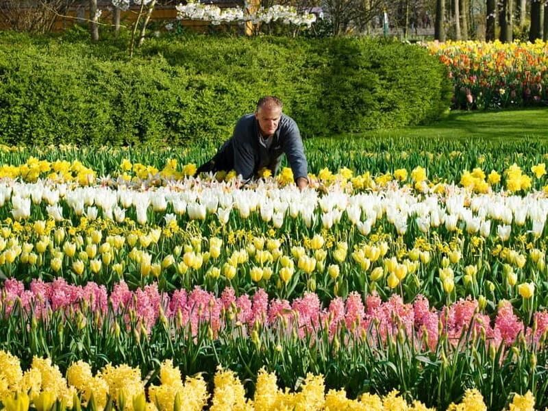 Amsterdam: Keukenhof Entry & Shuttlebus with Flexible Return - Key Points
