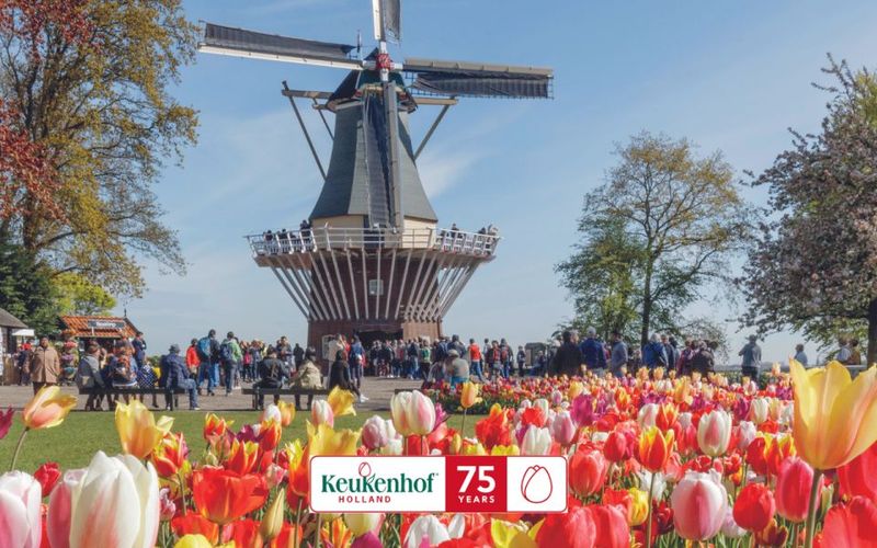 Amsterdam: Keukenhof Entry & Shuttlebus with Flexible Return - Timing for Tulips: Why Your Visit Window Changes Everything