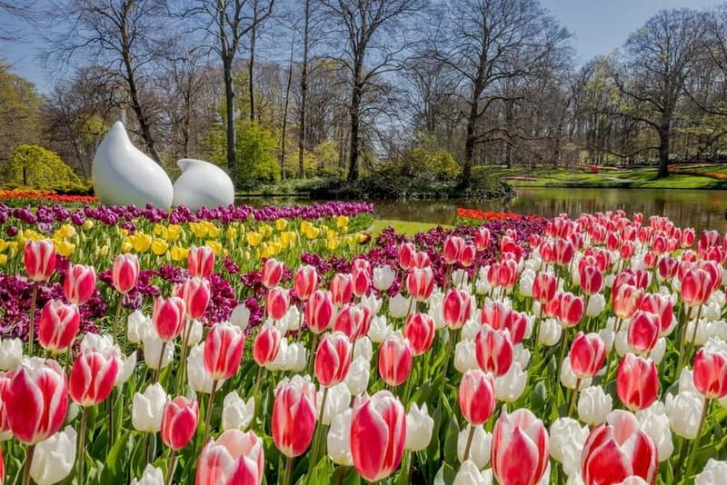 Amsterdam: Keukenhof Entry & Shuttlebus with Flexible Return - Price and Value: Is $41 a Fair Deal for What You Get?