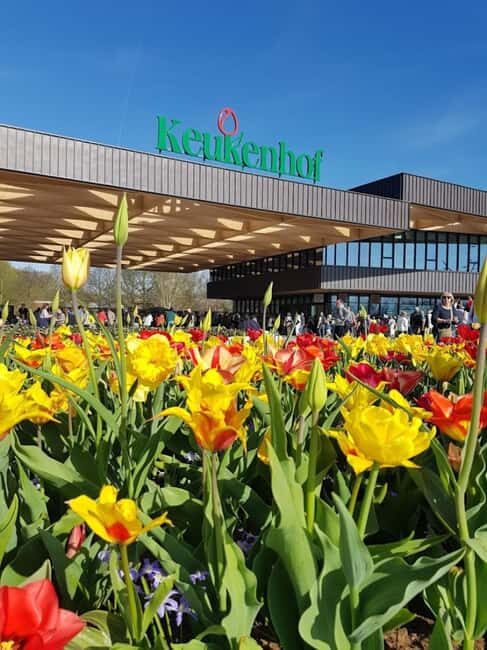 Amsterdam: Keukenhof & FlowerFarm Tour Including Tickets - Considerations