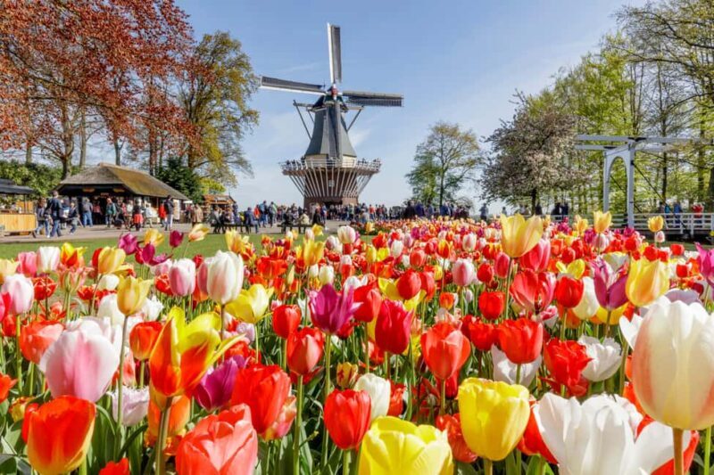 Amsterdam: Keukenhof Gardens Half Day Guided Tour - Why Choose This Tour?