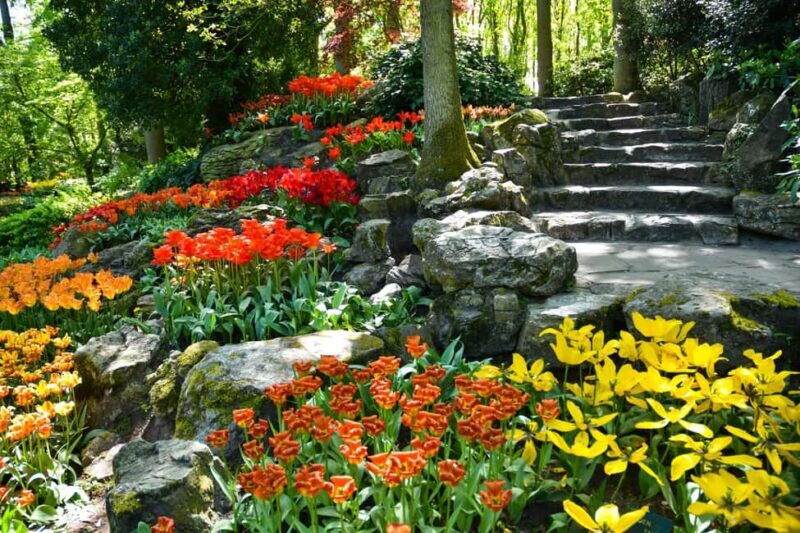 Amsterdam: Keukenhof Gardens Half Day Guided Tour - The Value of the Experience