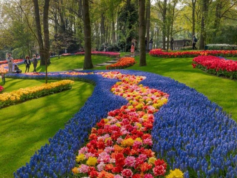 Amsterdam: Keukenhof Gardens & Tulip Fields Private Tour - Key Points