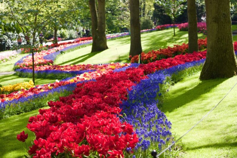 Amsterdam: Keukenhof Ticket with Shuttle Bus + Canal Cruise - Final Thoughts