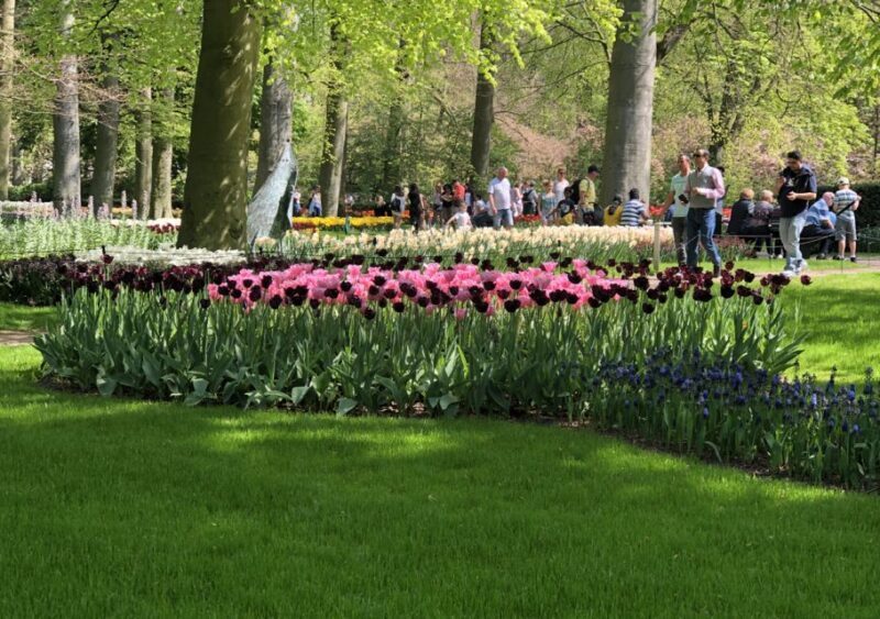 Amsterdam: Keukenhof Tulip Garden and Giethoorn Experience - Who Is This Tour Best For?