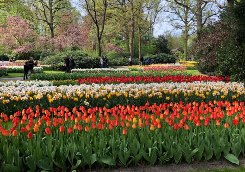 Amsterdam: Keukenhof Tulip Garden and Giethoorn Experience - FAQs