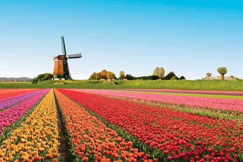 Amsterdam: Keukenhof Tulip Gardens Private Tour - Who Will Love This Tour?