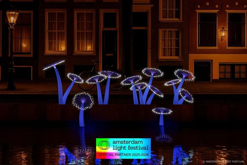 Amsterdam: Light Festival Cruise + Stroopwafel & Hot Choco - The Crew Detail That Helps: Bright Pink Staff