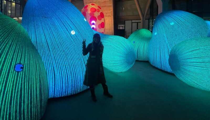 Amsterdam Light Festival Guided Bike Tour - A Closer Look at the Amsterdam Light Festival Guided Bike Tour