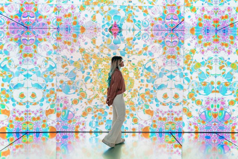 Moco Museum Amsterdam Entrance Tickets with Banksy & More - Your visit, stop by stop (what you’ll actually notice)